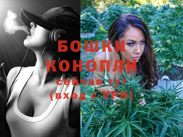 стафф Карпинск