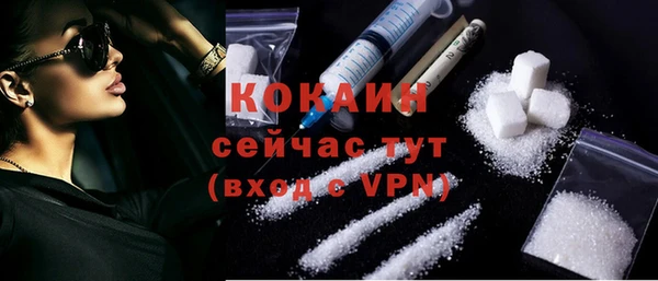 стафф Касимов