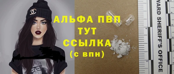 стафф Карпинск
