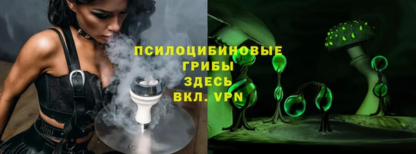 стафф Карпинск