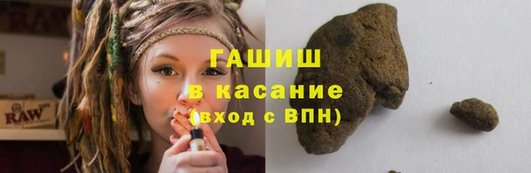 стафф Касимов
