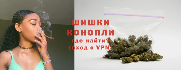 стафф Карпинск