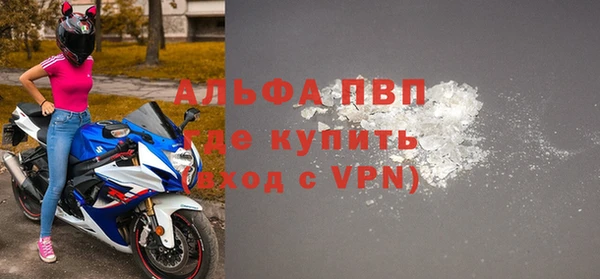 стафф Карпинск