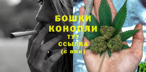 стафф Касимов