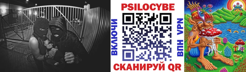 Псилоцибиновые грибы GOLDEN TEACHER  Купить  Каневская 